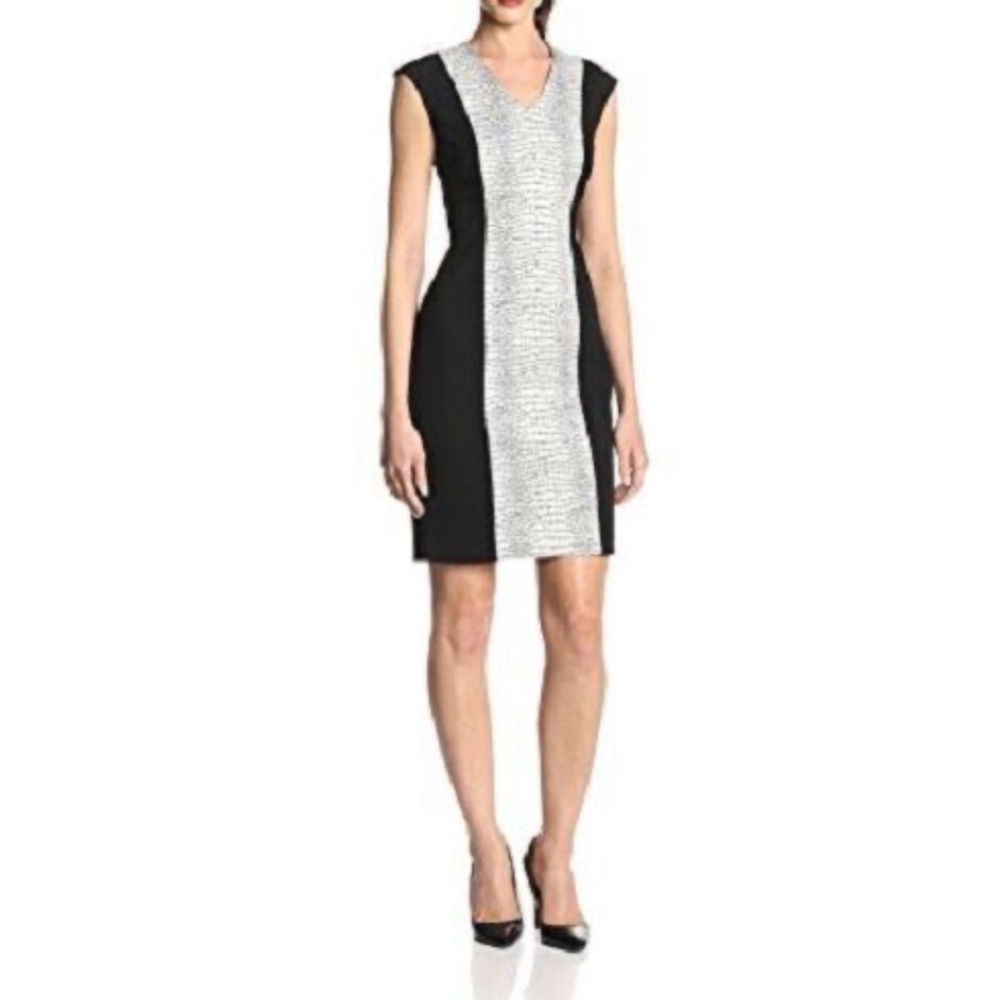 Calvin Klein Dress
